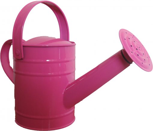 Twigz Watering Cans