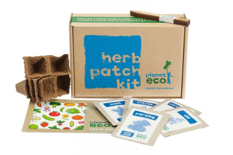 Herb Patch Kit Gardening 4 Kids